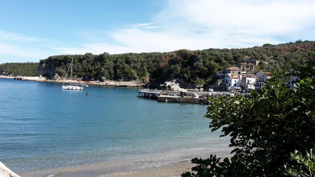 Villa Kalimera سورينتو المظهر الخارجي الصورة