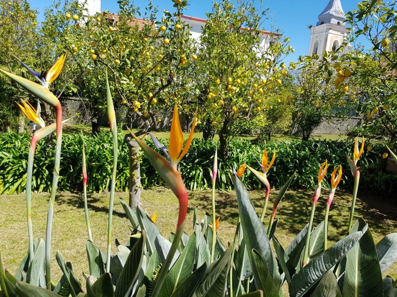 Villa Kalimera سورينتو المظهر الخارجي الصورة