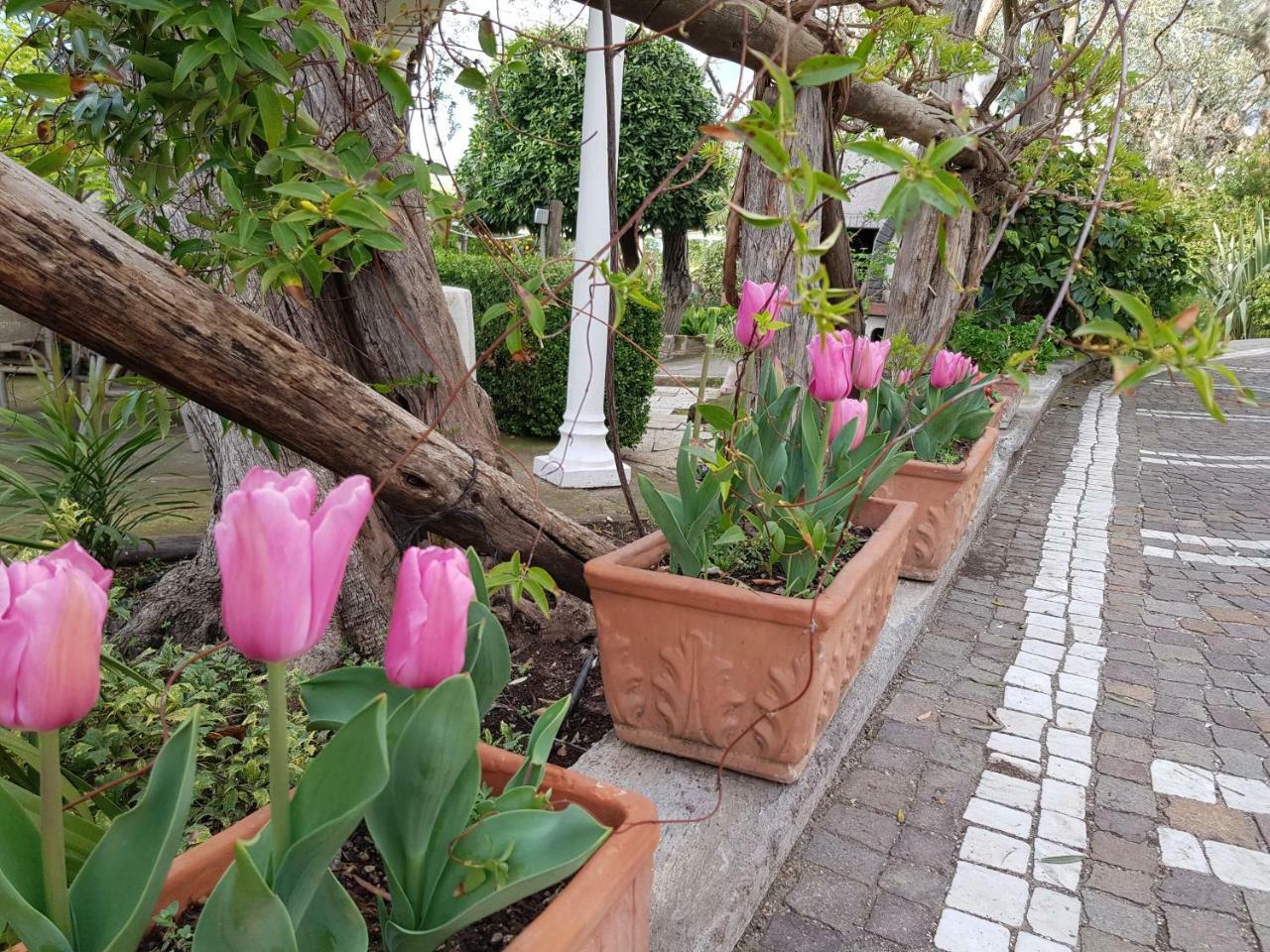 Villa Kalimera سورينتو المظهر الخارجي الصورة